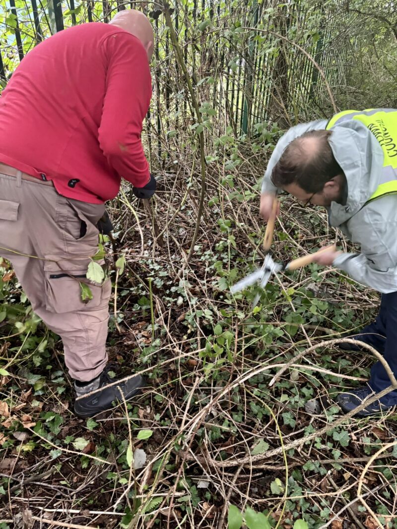 Clearing the paths around Pencoed.